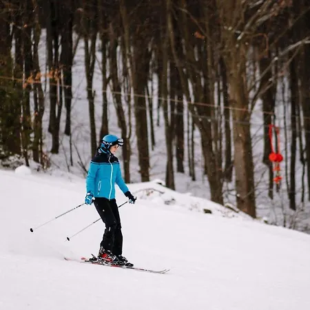 Voevodyno 4* Tur'ya Paseka