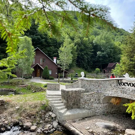 Resort Voevodyno 4*