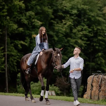 Semesteranläggning (resort) Voevodyno 4*