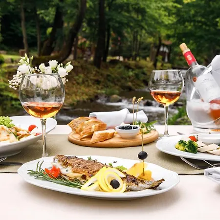 Voevodyno Resort 4*