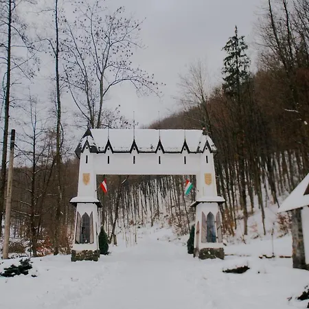 Voevodyno 4* Tur'ya Paseka