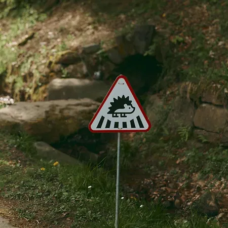 Voevodyno Semesteranläggning (resort)