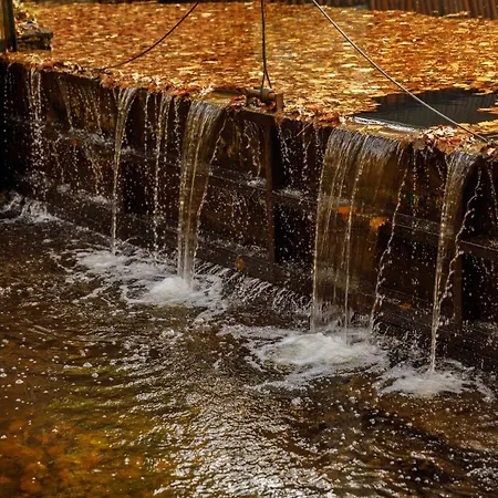 Voevodyno Tur'ya Paseka