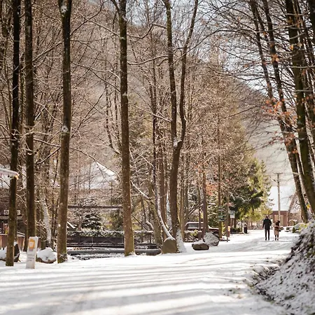Voevodyno Rezort Tur'ya Paseka