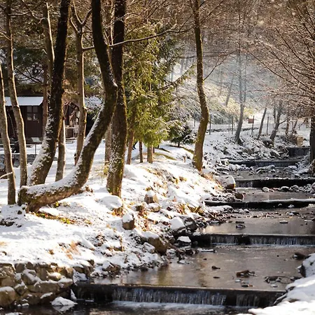 Rezort Voevodyno Tur'ya Paseka